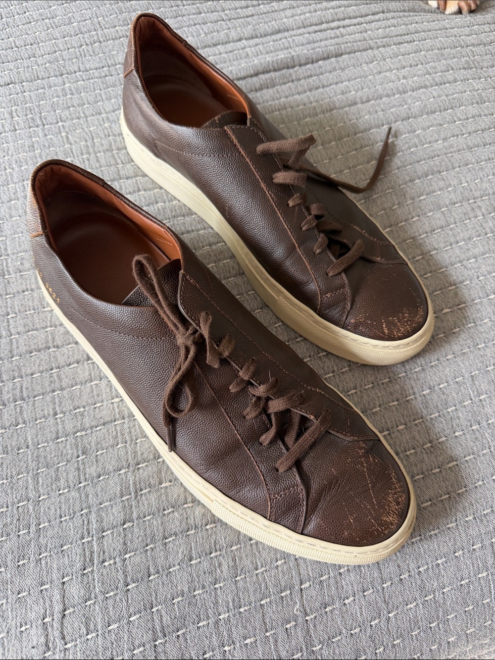 Common Projects Brown Leather Low-Top Sneakers with Cream Sole
